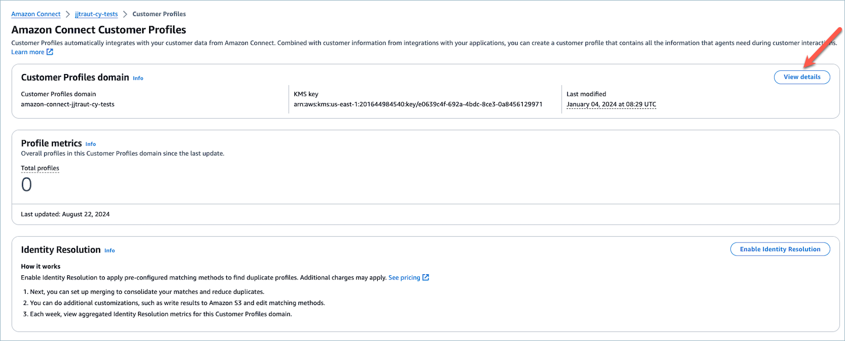 Wählen Sie im Bereich Kundenprofildomäne die Option Details anzeigen aus