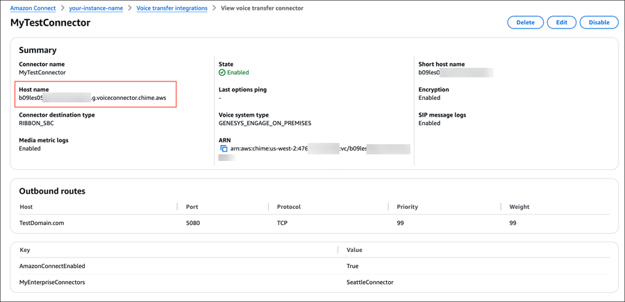 Die Seite mit den Connector-Details, der vollqualifizierte Hostname.