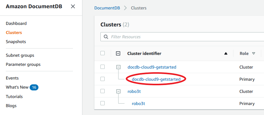 Die Cluster-Tabelle mit einer Liste von Clustern in der Spalte Cluster-ID, wobei die Instances innerhalb von Clustern verschachtelt sind.