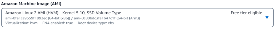 Die Anwendungs- und Betriebssystem-Images bieten eine Schnittstelle mit der Amazon Linux 2 AMI-Option, die im Abschnitt Schnellstart ausgewählt wurde.