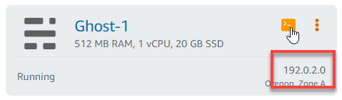 Instance public IP address.