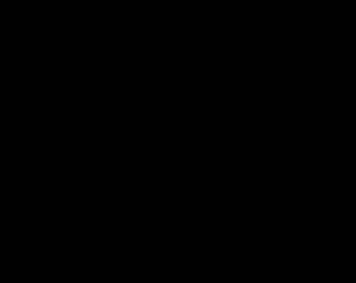 Kopieren Sie Text aus dem browserbasierten SSH-Client in Lightsail.