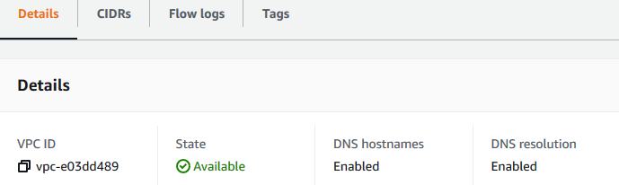 Die Registerkarte "DNS Settings" (DNS-Einstellungen)