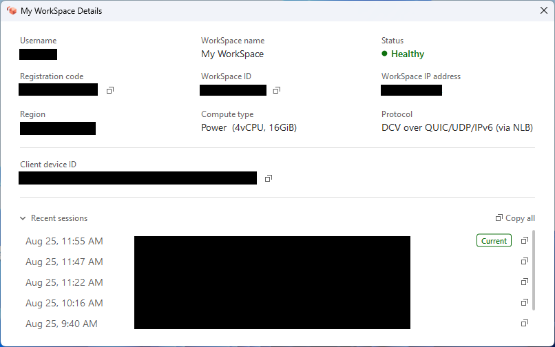 Der Bereich „Meine WorkSpace Daten“ enthält wichtige Informationen zu WorkSpace.