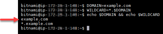 Confirme las variables de entorno del dominio.