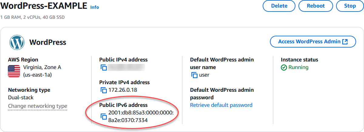 IPv6 Dirección de la instancia en el área del encabezado de la página de administración de instancias.