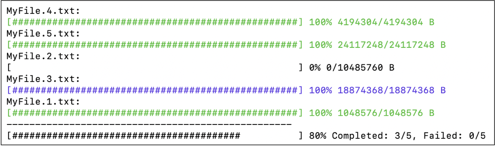 El resultado de la consola muestra varias barras de progreso para cargar varios archivos, con una barra de resumen del progreso en la parte inferior