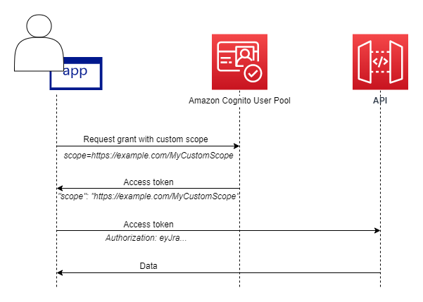 Vue d'ensemble du flux d'un serveur de ressources. Le client demande une autorisation avec une portée personnalisée, le groupe d'utilisateurs renvoie un jeton d'accès avec la portée personnalisée et le client présente le jeton d'accès à une API.