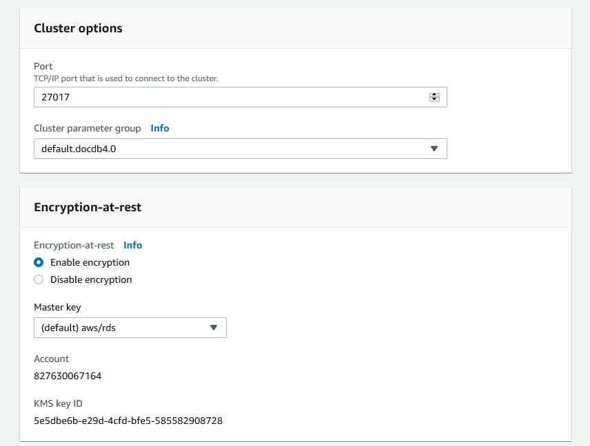Options de cluster et Encryption-at-rest formulaires avec les options par défaut sélectionnées.