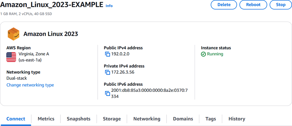 Page de gestion des instances dans la console Lightsail