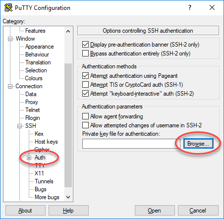 Paramètres d'authentification PuTTY.