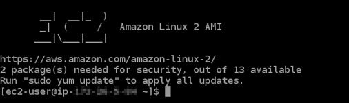 Connexion SSH établie avec une instance de Lightsail