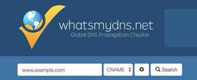 Aplikasi whatsmydns.net, tempat Anda memasukkan nama situs web yang akan diperiksa.