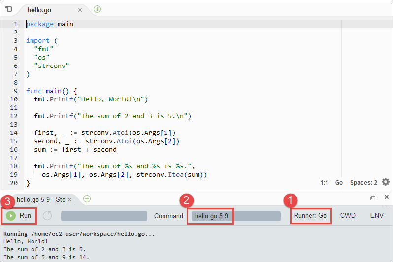 Output dari menjalankan kode Go di AWS Cloud9 IDE