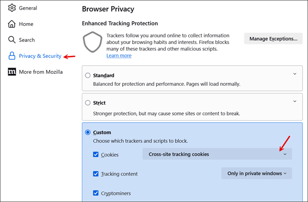 Halaman Privasi & Keamanan di Firefox.