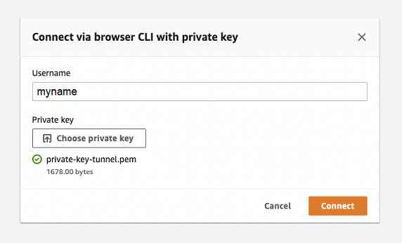 Kotak dialog formulir untuk terhubung melalui browser CLI dengan kunci pribadi, menampilkan bidang nama pengguna dan opsi untuk memilih atau menggunakan file kunci pribadi yang telah dipilih sebelumnya.