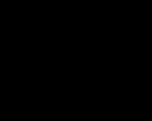 Tempel teks ke klien SSH berbasis browser di Lightsail.