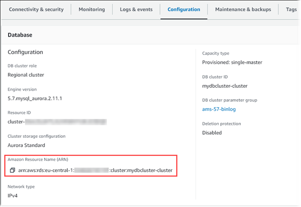 DB cluster ARN.