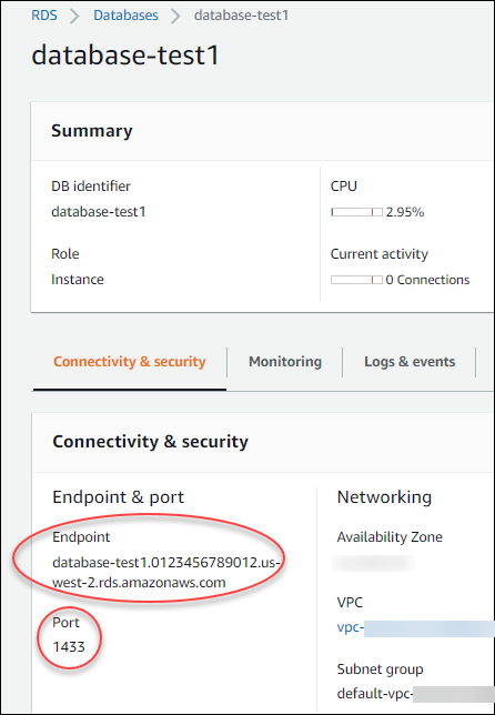 Connect to a Microsoft SQL Server DB instance.
