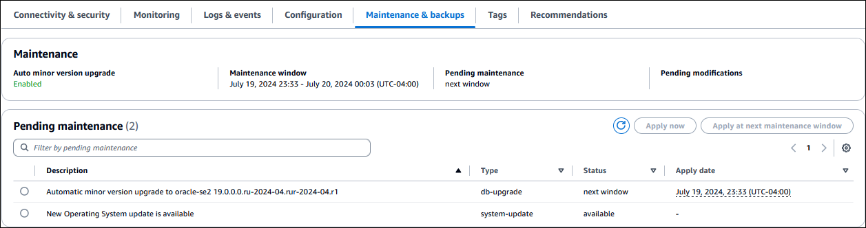 Pending maintenance items for an RDS DB instance.