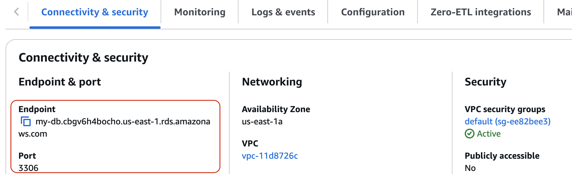 Connectivity & security panel showing endpoint, port, networking, and security details.
