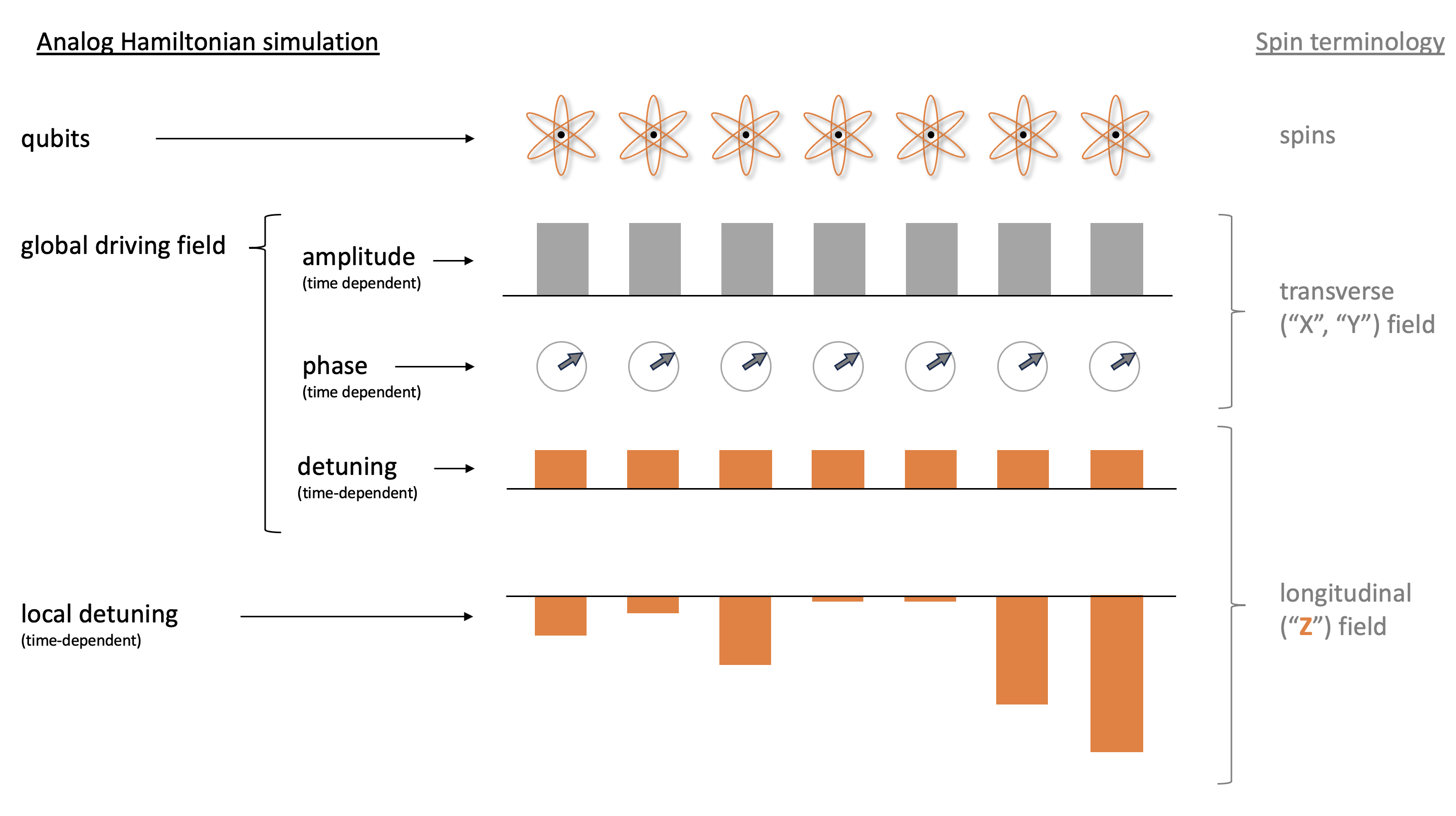 Analog hamiltonian simulation in spin terminology, where there are qubits, a time dependent global driving field, and time dependent local detuning.