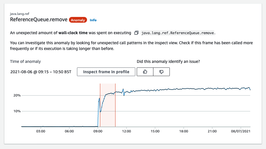Image: Anomaly report example