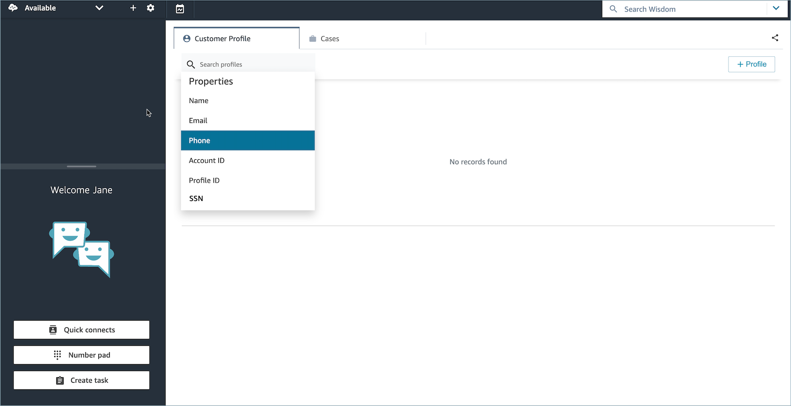 The Customer profile tab, the search box.