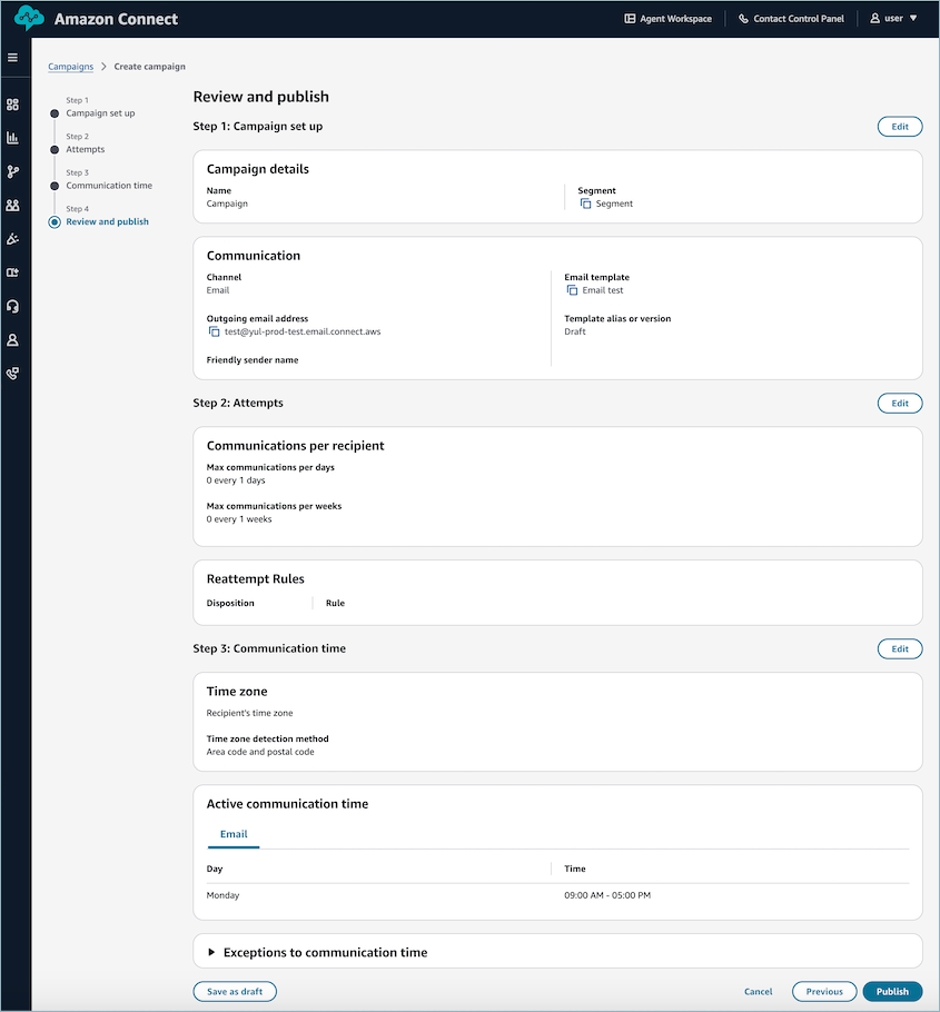 Review and publish screen showing campaign configuration summary before final publication.