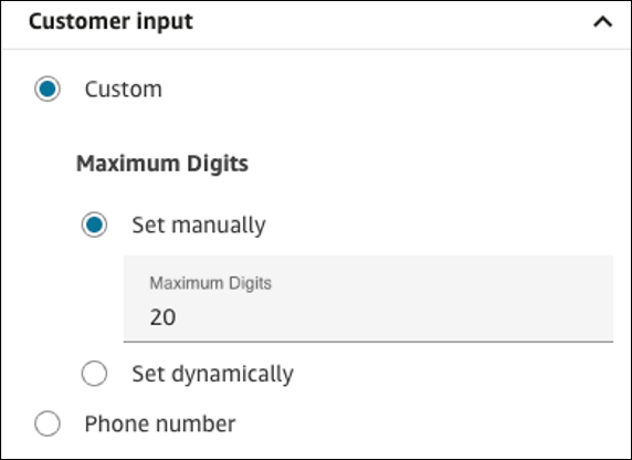 The Customer input section of the properties page.