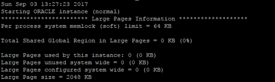 Oracle database alert log file