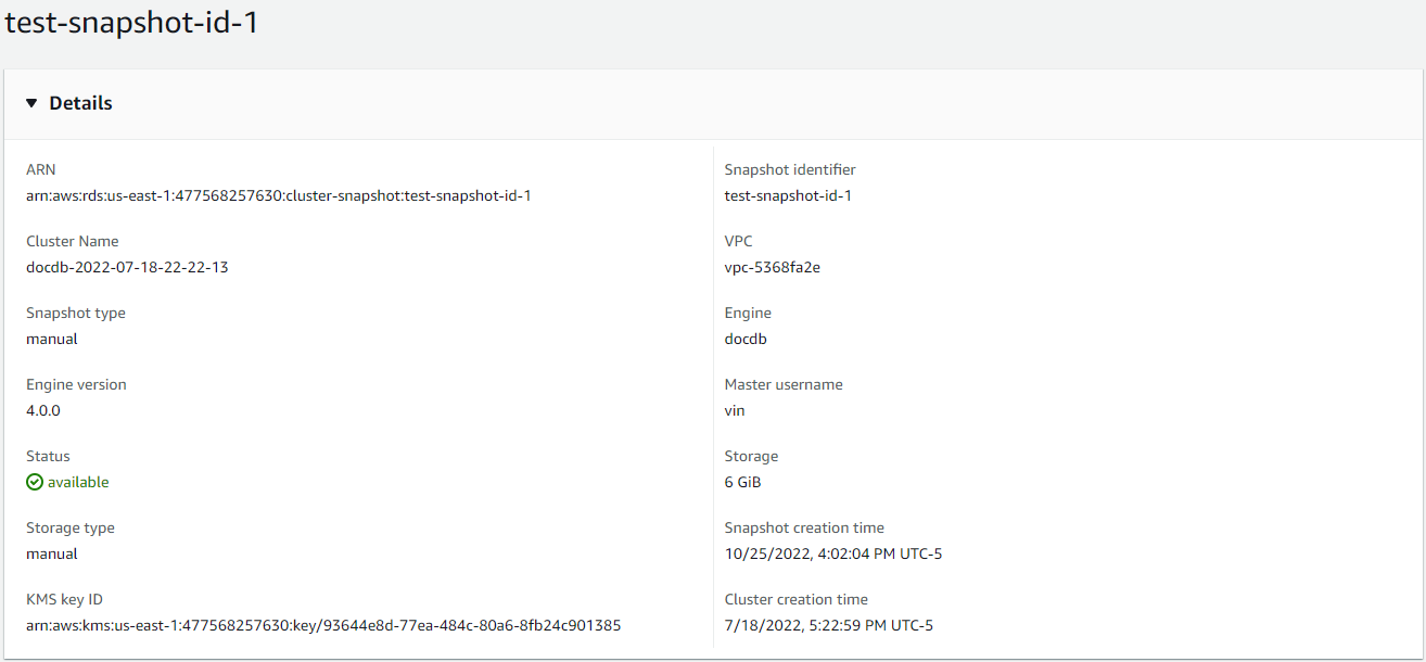 Diagram: elastic cluster view snapshot