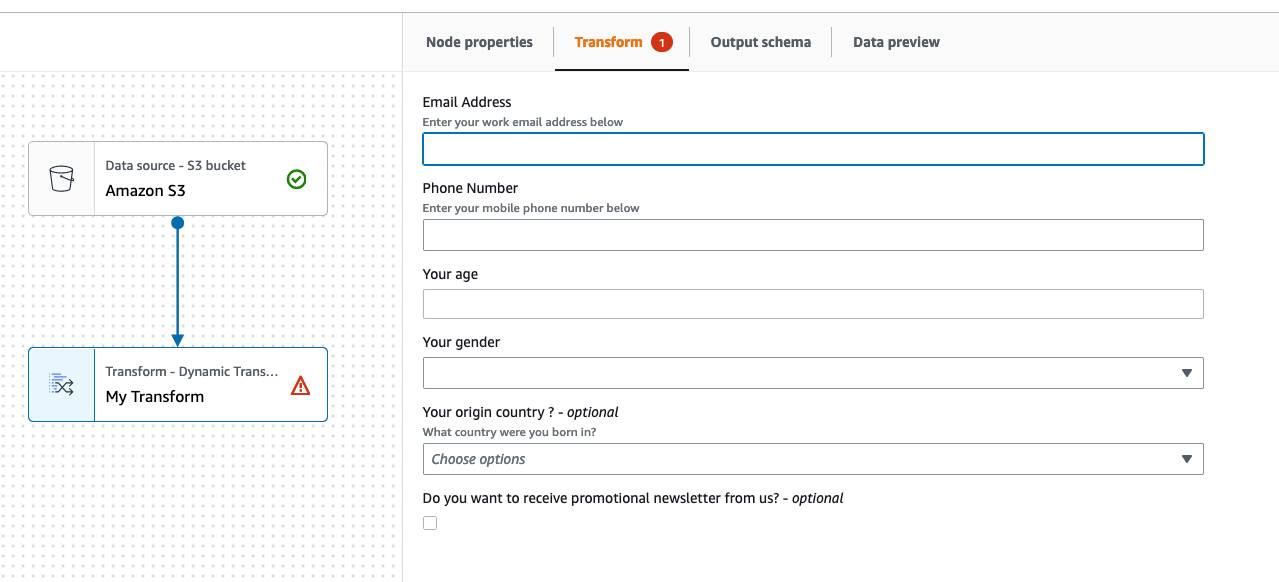 The screenshot shows a custom visual transform selected and the Transform tab with user-defined parameters.