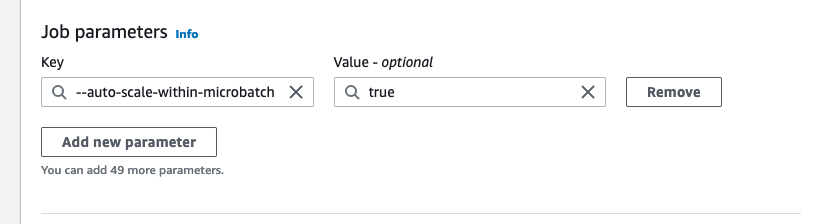 The screenshot shows job parameters for key and value. The Key field contains the value --auto-scaIe-within-microbatch and the Value field contains the value true.
