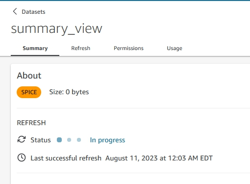 Summary view dataset summary tab showing dataset refresh status