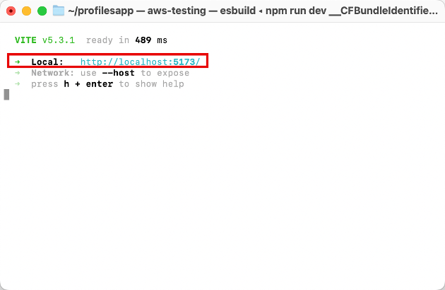 Terminal output showing Vite server running locally with additional instructions.