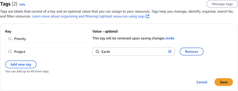 Deleting a tag in the Lightsail console.