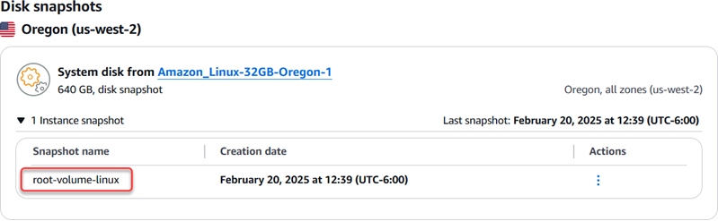 Root volume disk snapshot in the Lightsail console.