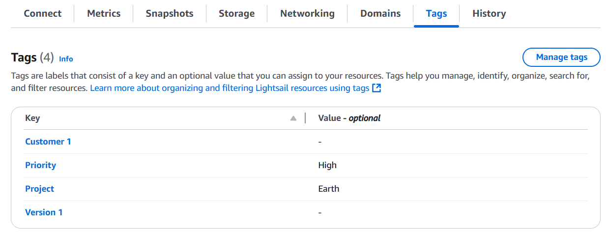 Viewing tags for a resource in the Lightsail console.