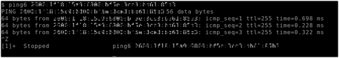 Successful IPv6 ping command.