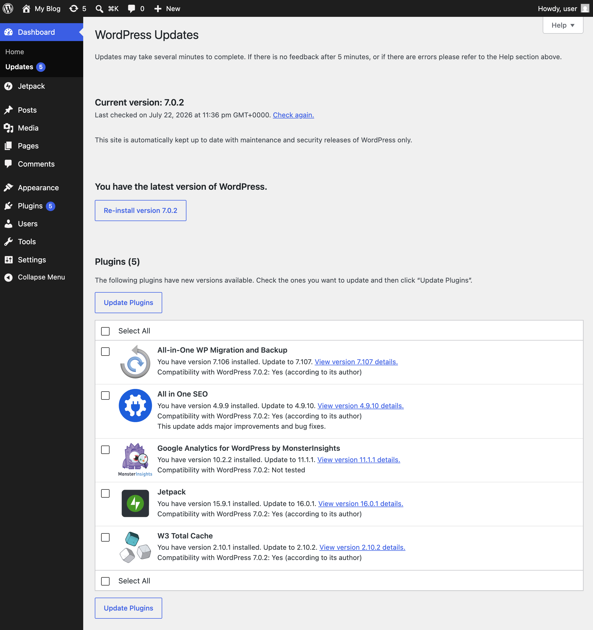 WordPress Updates page showing the current version and available plugin updates.