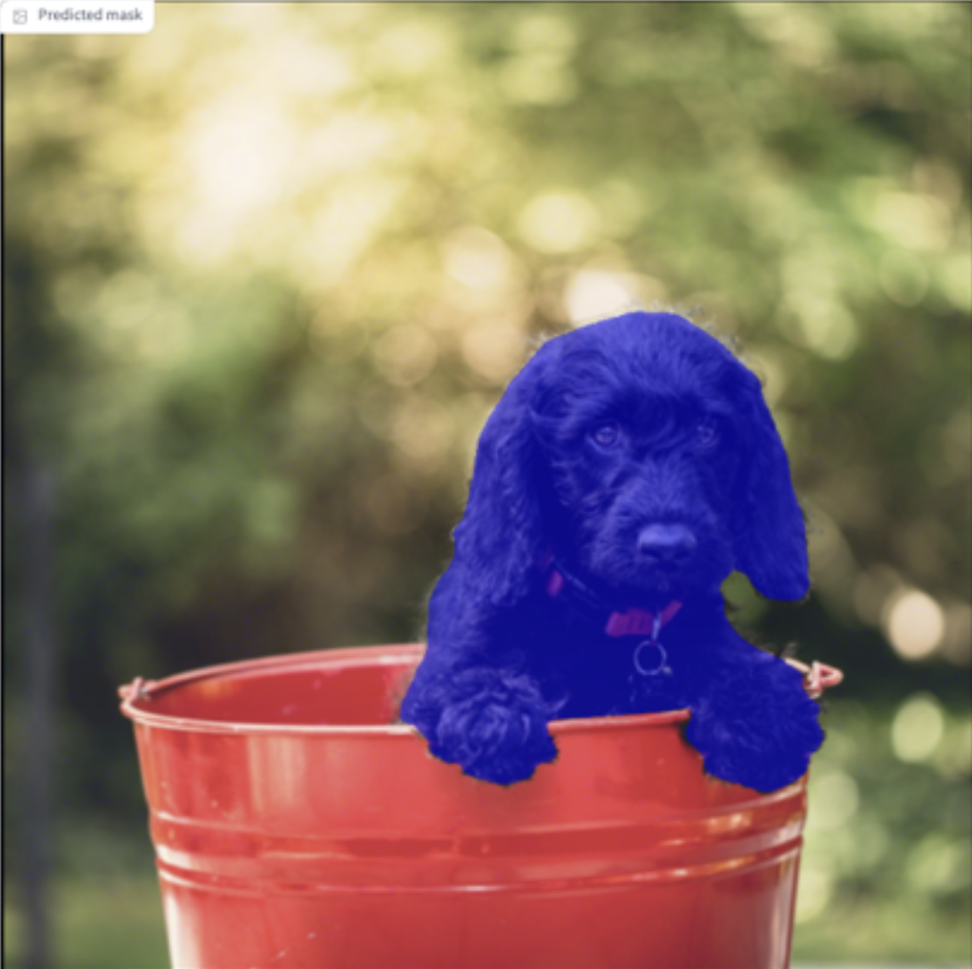 A dog