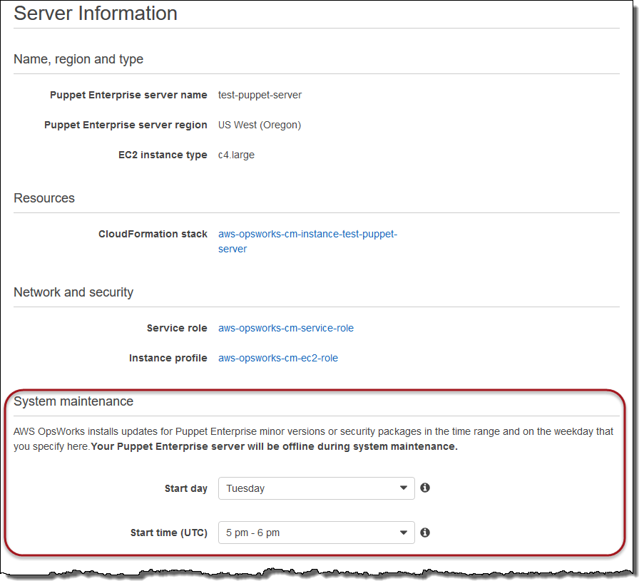 Puppet master settings, showing System maintenance section.