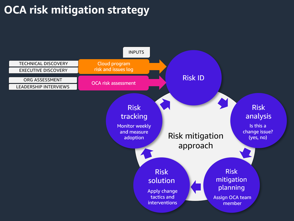 OCA risk mitigation strategy inputs and outputs.