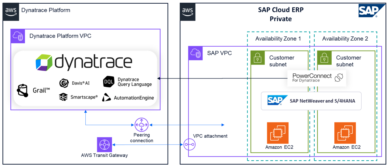 RISE observability with Dynatrace