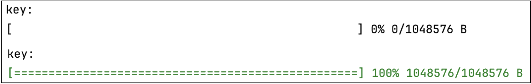 Console output showing a customized progress bar using equals signs with width of 100 characters