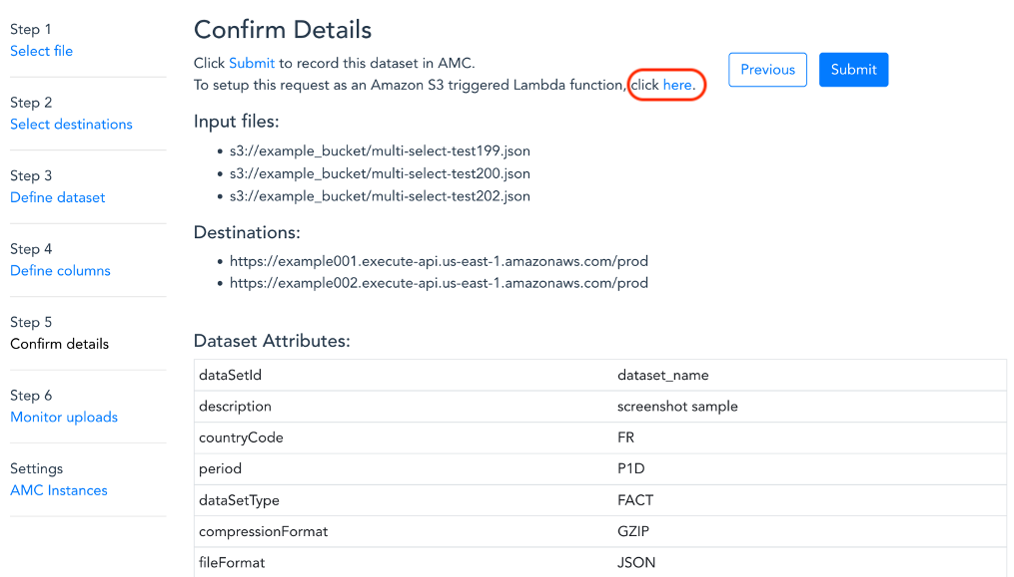 Confirm Details page showing input files, destinations, and dataset attributes.