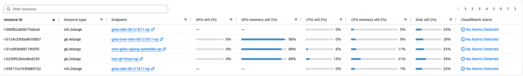 Tabella della capacità delle istanze che mostra GPU, memoria GPU, CPU, memoria e utilizzo del disco.