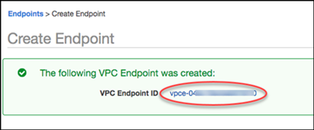 Collegamento ai dettagli dell'endpoint Amazon VPC
