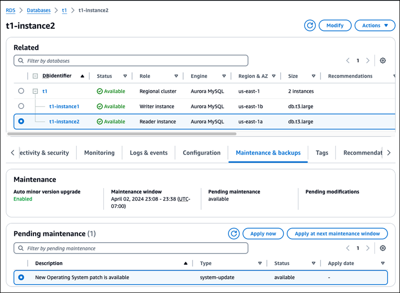 Patch del sistema operativo dell'istanza Reader.